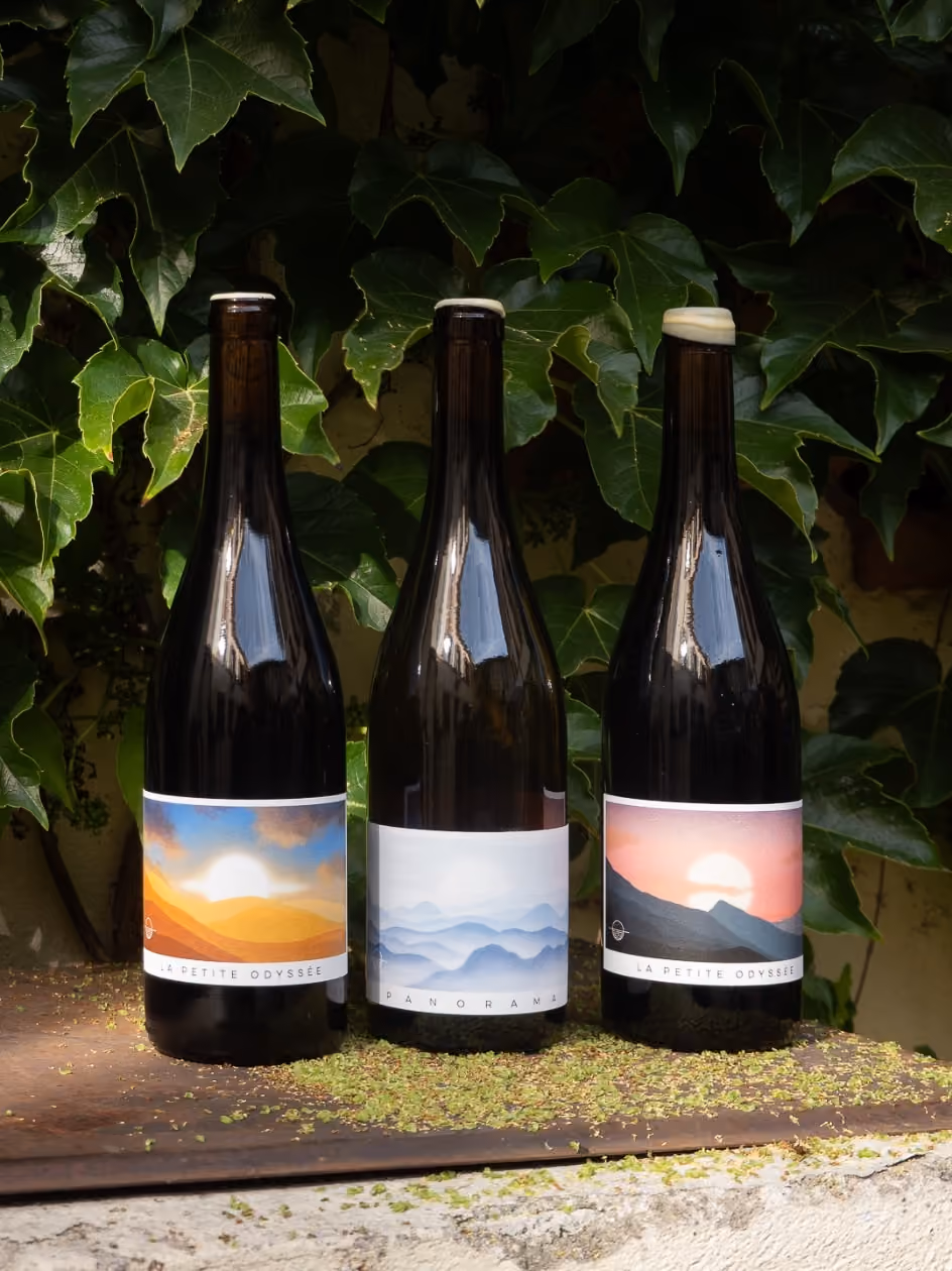 Trois bouteilles aux étiquettes illustrées devant du lierre