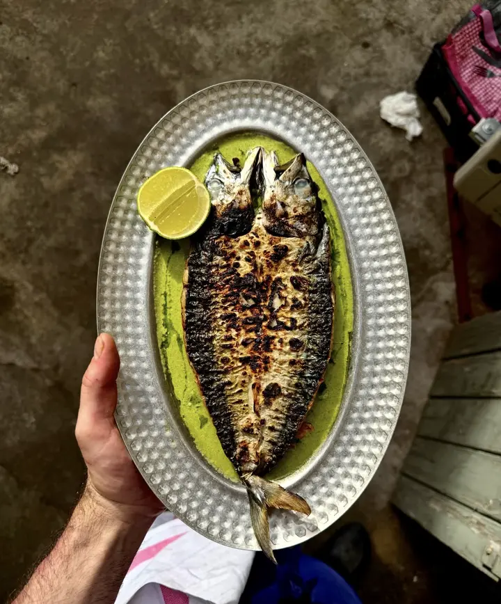 Maquereau à la flamme sur une sauce verte, servi dans un plat martelé