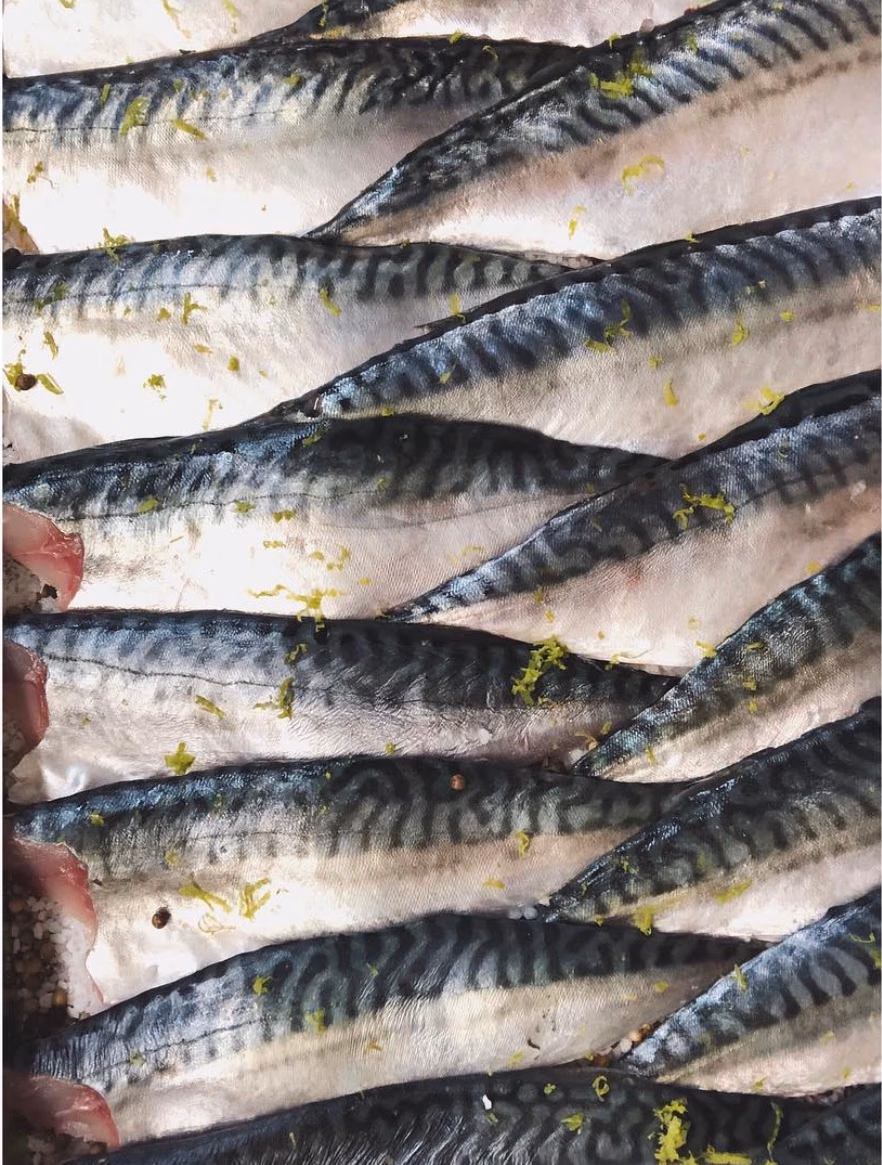 Filets de maquereau alignés, zestes de citron vert, avant la cuisson